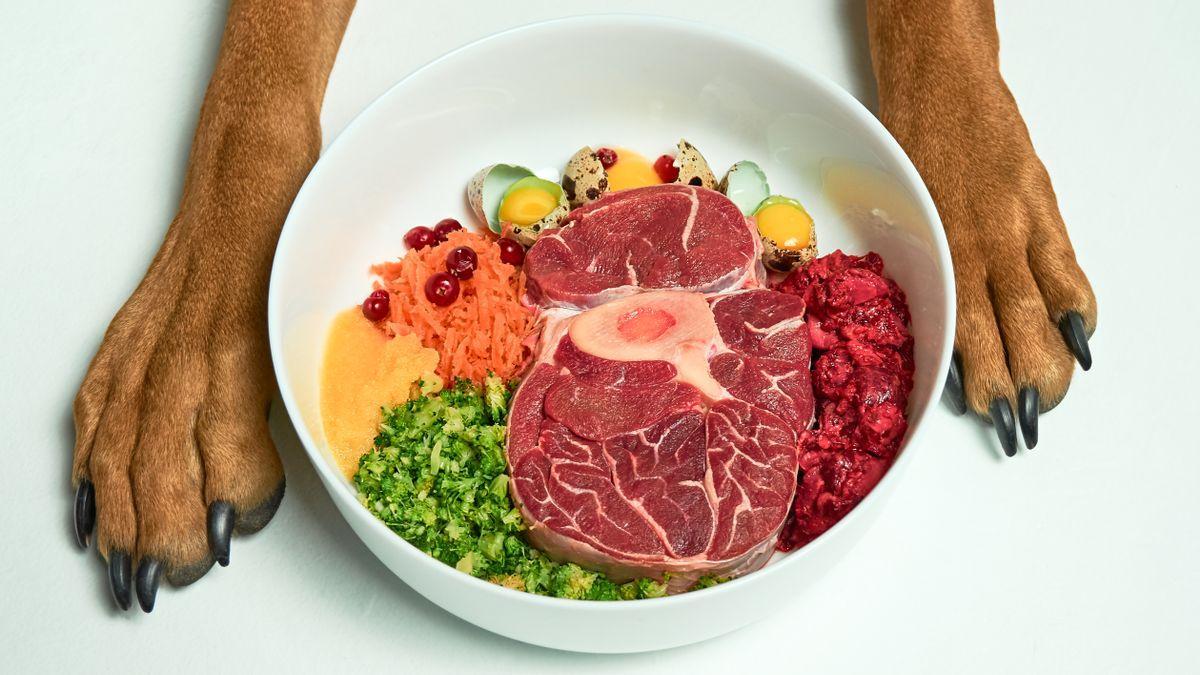 THE BARF DIET FOR YOUR DOG